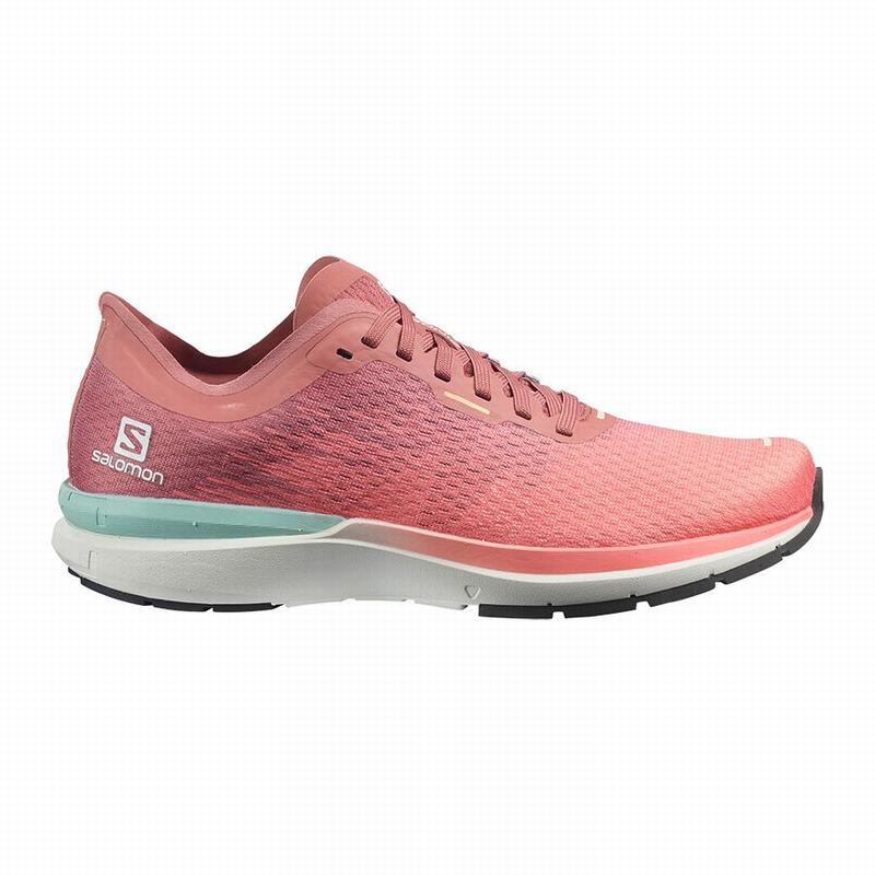 SALOMON SONIC 4 ACCELERATE Philippines - Women's Running Shoes - White/Dark Red | 425793-PHF